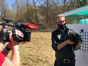 INNOVATIVE CHICKEN COOP DESIGN? WE’RE HERE FOR IT!