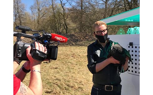 INNOVATIVE CHICKEN COOP DESIGN? WE’RE HERE FOR IT!